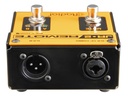 Radial JR-2 Dual Remote image 2