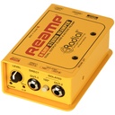 Radial X-Amp image 2