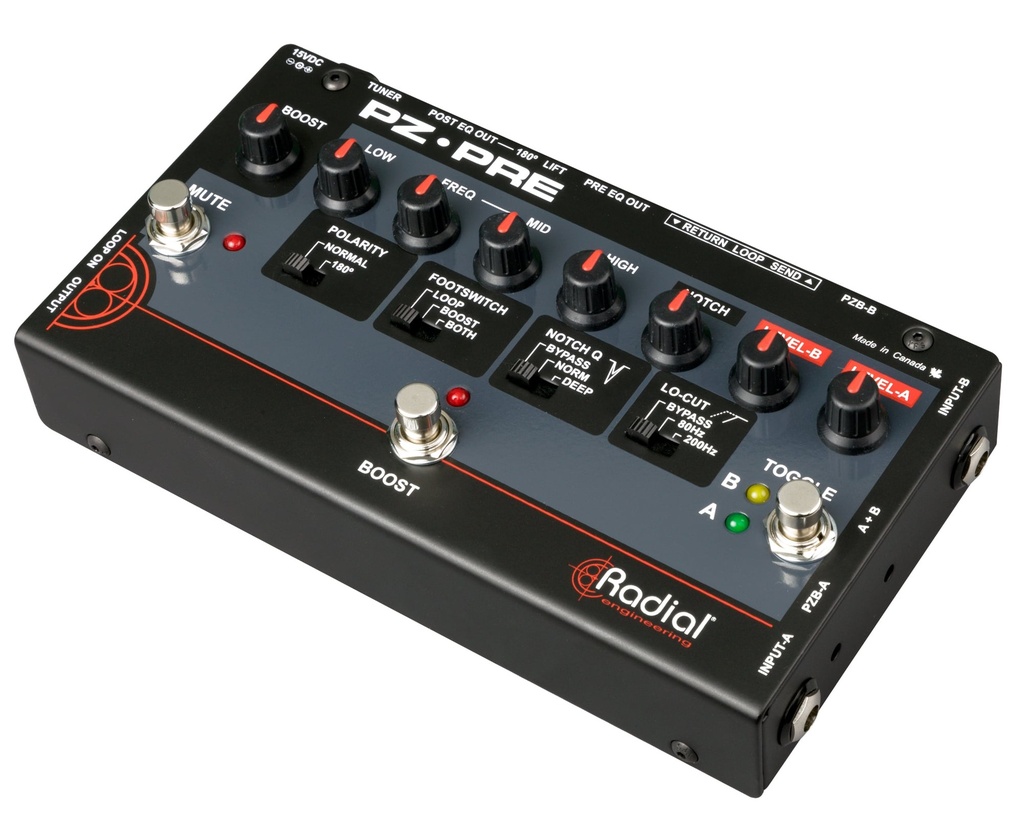 Radial PZ-Pre image 5