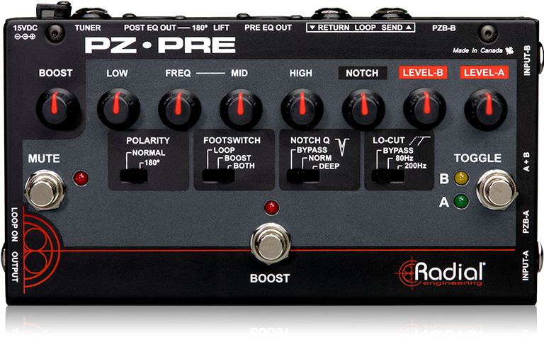Radial PZ-Pre image 8