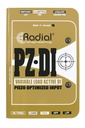 Radial PZ-DI image 1