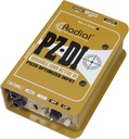 Radial PZ-DI image 5