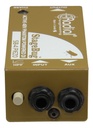 Radial SB-4 Piezo feature panel 1