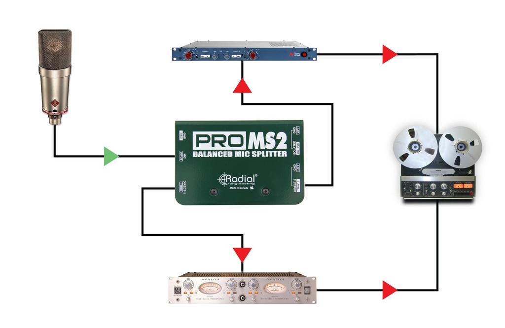 Radial ProMS2 application 3