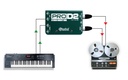 Radial Pro D2 application 1