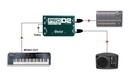 Radial Pro D2 application 4