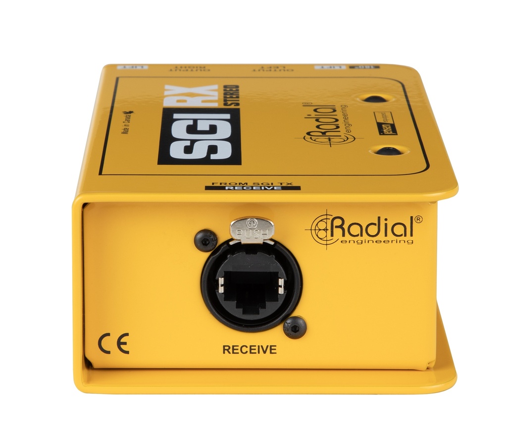 Radial SGI Stereo RX input panel