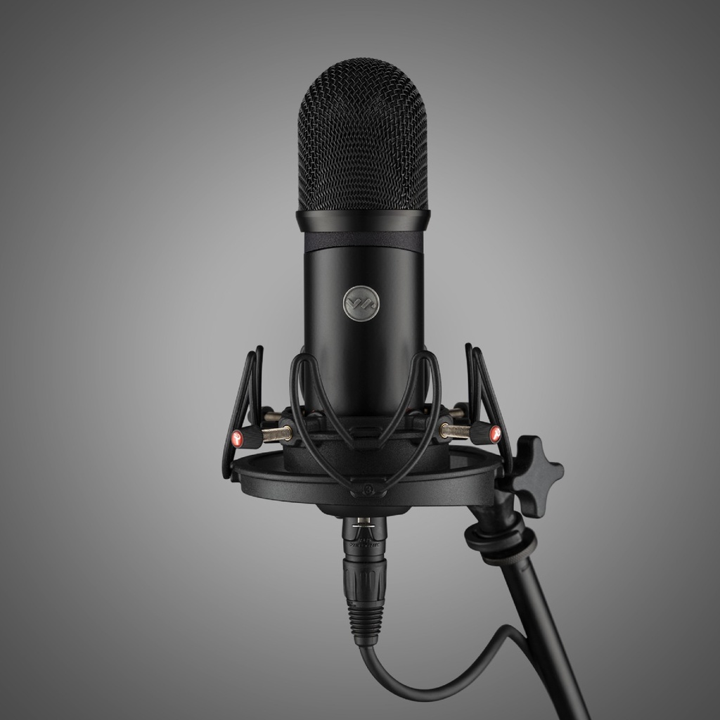 Voyage Audio SpatialMic-Dante