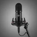 Voyage Audio SpatialMic-Dante